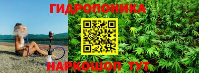 прущие крисы Аргун