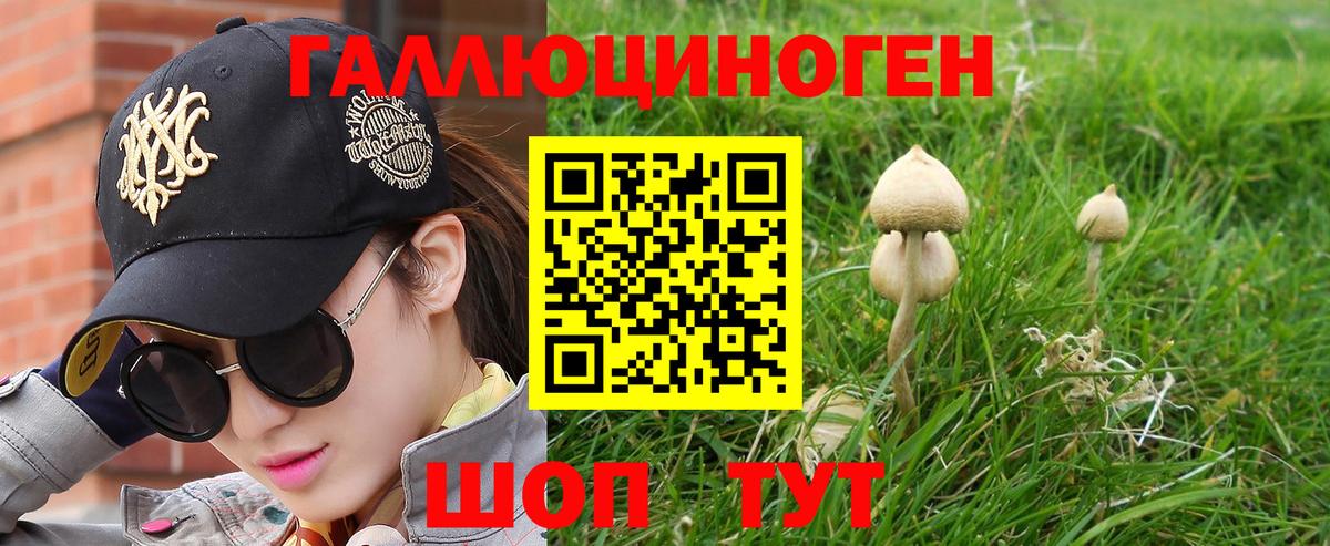 Галлюциногенные грибы Cubensis  продажа наркотиков  Псилоцибиновые грибы GOLDEN TEACHER  Балашиха  Вход с VPN 